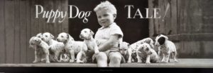 Puppy Dog Tale Photographic Print