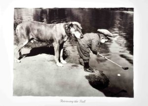 Retrieving The Golf Ball Photographic Print