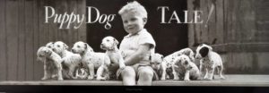 Puppy Dog Tale Photographic Print