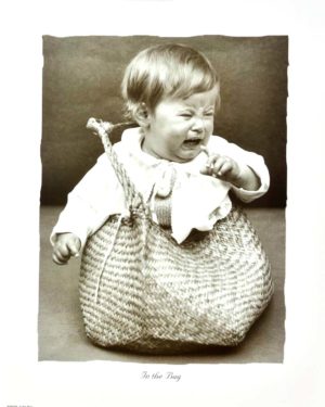 In The Bag Photographic Print