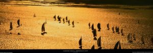 Fastnet Race Admirals Cup by Carlo Borlenghi Photographic Print