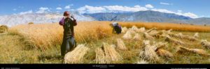 Lo Manthang Tibet by Davide Camisasca Photographic Print