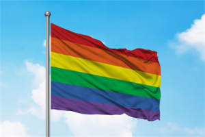 Rainbow Flag - Image 2