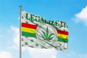 Legalise It Flag (Legalize It) - Image 2