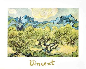 Vincent Van Gogh - Landscape Olive Trees