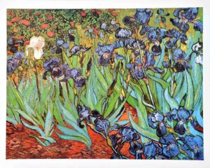Vincent Van Gogh - Irises