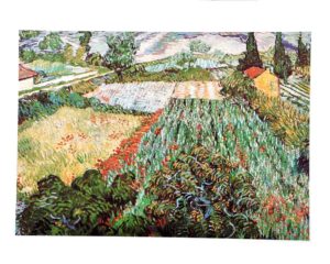 Vincent Van Gogh - Field Of Poppies
