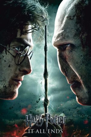Harry Potter Deathly Hallows Part 2 Harry Vs Voldemort Poster