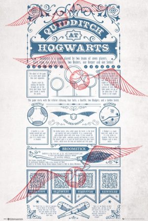 Harry Potter Quidditch Rules Poster