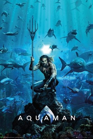 DC Comics Aquaman One Sheet Poster