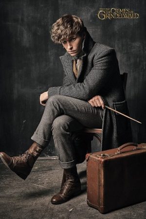 Fantastic Beasts: The Crimes of Grindelwald Newt Scamander Poster
