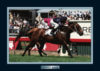 Champion Horses Fastnet Rock Serve Memorabilia Matted And Framed Photo (some wear)