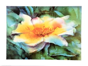Wild Rose Watercolour