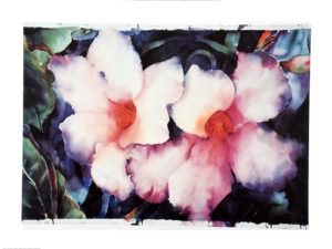 In Full Bloom Watercolour