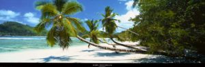 Mahe Seychelles by Granville Harris Photographic Print
