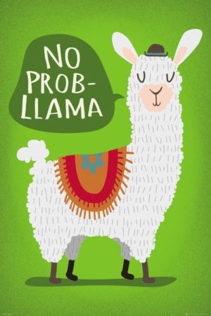 Llama No Probllama Mini Poster