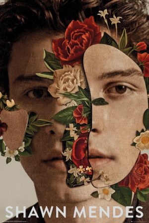 Shawn Mendes Flowers Poster