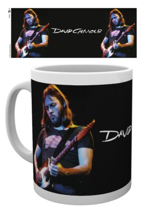 David Gilmour Live Pink Floyd Mug