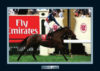 Champion Horses Makybe Diva 2004 Serve Memorabilia Matted And Framed Photo (some wear)