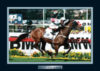 Champion Horses Might and Power Serve Memorabilia Matted And Framed Photo (some wear)