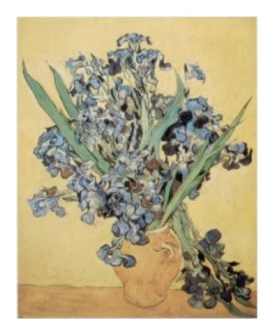 Vincent Van Gogh - The Iris Art Print