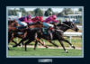 Champion Horses Octagonal Serve Memorabilia Matted And Framed Photo (some wear)