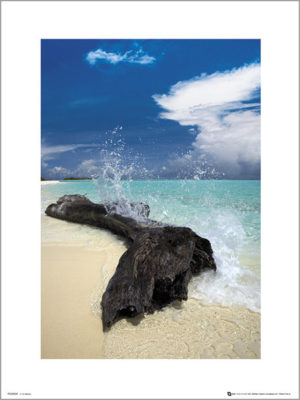 Driftwood by Tom Mackie Photographic Print