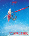 Windsurfing Poster