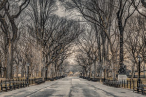 New York Central Park by Assaf Frank Poster