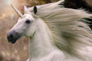 Horse Unicorn Bob Langrish Poster