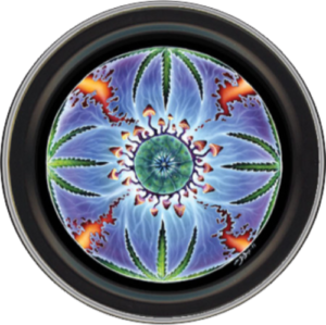 Mike DuBois - Peyote Mandala Round Stash Tin