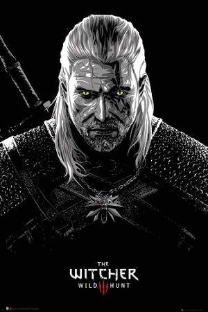 The Witcher Toxicity Poisoning
