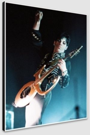 Prince Birmingham NEC 2005 A1 Poster - Poster 59.5x84cm Blockmounted