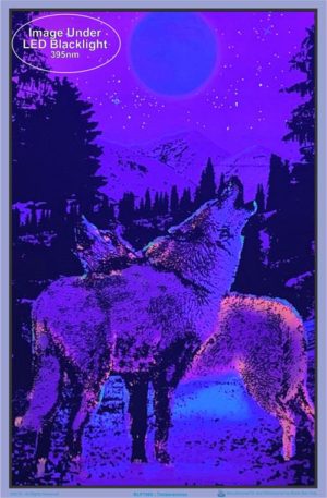 Timberwolves Flocked Velvet Blacklight Poster - Image 2