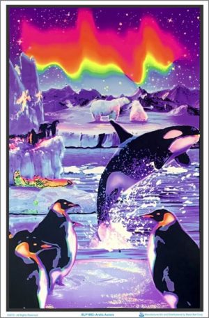 Arctic Aurora Flocked Velvet Blacklight Poster