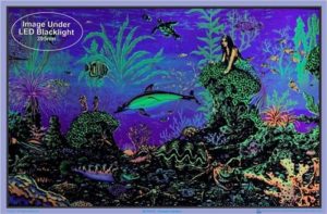 Michael Fishel - Octopus Garden Flocked Velvet Blacklight Poster - Image 2