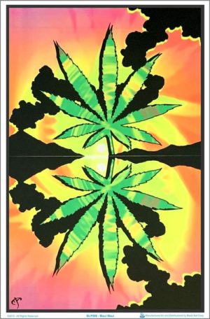 Maui Waui Flocked Velvet Blacklight Poster