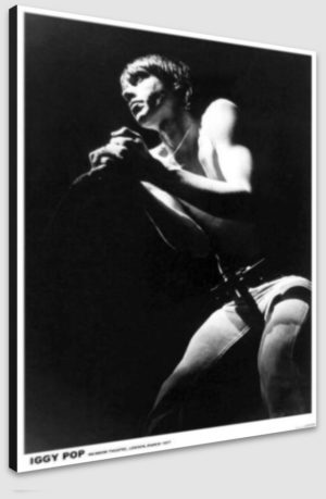 The Stooges Iggy Pop London 1977 Poster A1 Poster - Poster 59.5x84cm Blockmounted