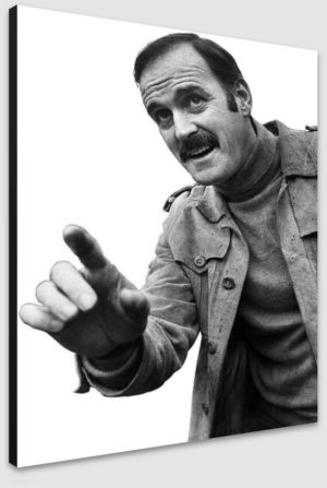 Monty Python John Cleese Newcastle 21st Nov 1977 A1 Poster - Poster 59.5x84cm Blockmounted