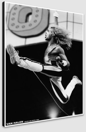 Van Halen David Lee Roth 1980 A1 Poster - Poster 59.5x84cm Blockmounted