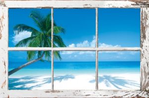 Tropical Window Poster