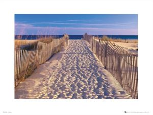 Dune Path Photographic Print