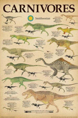 Smithsonian Dinosaurs Carnivores Poster