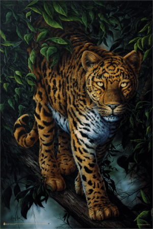 Jenny Newland - Watchful Eyes Leopard Poster