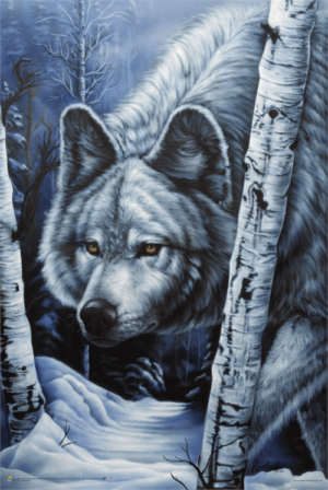 Jenny Newland - White Wolf Poster