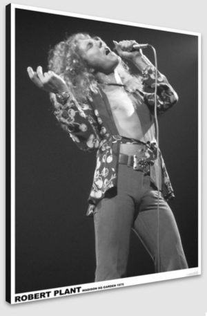 Led Zeppelin Robert Plant Madison Square Gardens New York 1975 A1 Poster - Poster 59.5x84cm Blockmounted