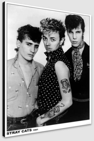 Stray Cats 1981 A1 Poster - Poster 59.5x84cm Blockmounted