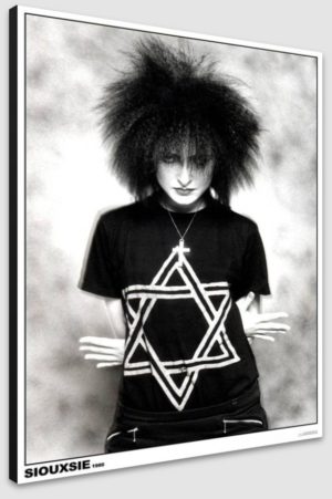 Siouxsie Sioux 1980 A1 Poster - Poster 59.5x84cm Blockmounted