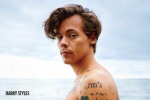 Harry Styles Beach Poster