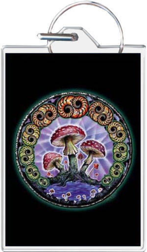 Mike DuBois - Mushroom 2000 Keyring